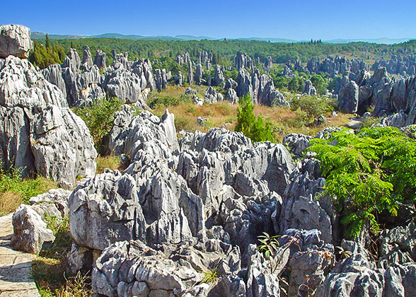 Stone Forest, Kunming