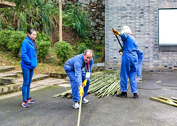 Volunteer Work