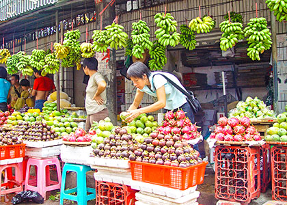 Haikou Bike Tour